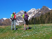 14 Bianco il Tre Signori, bianchi i crocus nell'erba verde
